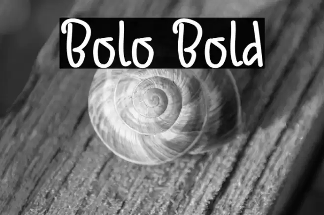 Bolo Bold Polices examples