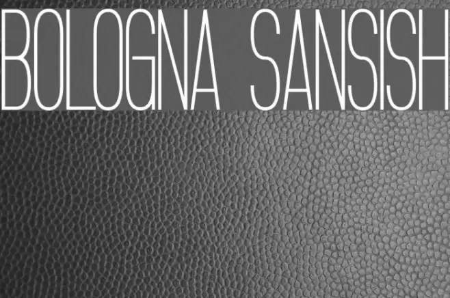 Bologna Sansish Font examples