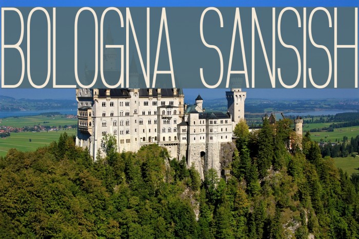 Bologna Sansish Font examples