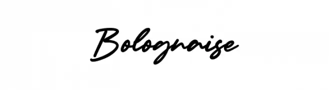 Bolognaise  Frei Schriftart Herunterladen