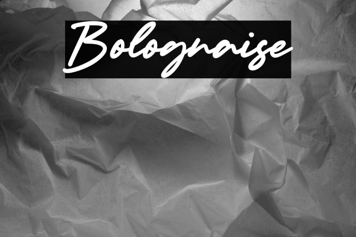 Bolognaise Example 1