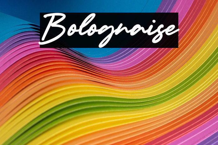 Bolognaise Example 2