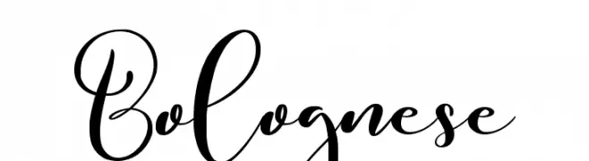 Bolognese  Frei Schriftart Herunterladen
