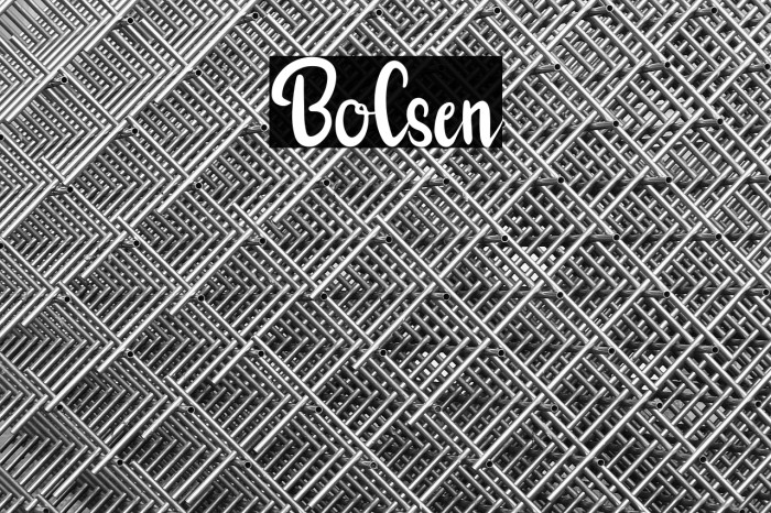 Bolsen Example 1