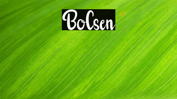 Bolsen Example 2