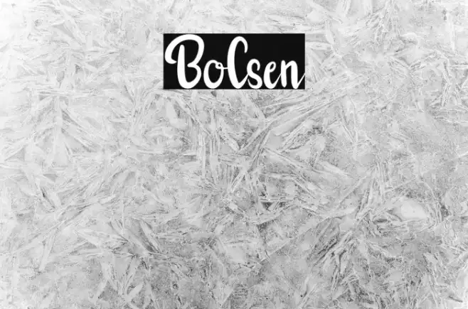 Bolsen Example 3