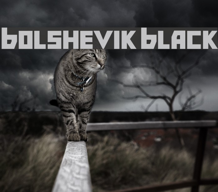 Bolshevik Black Example 1