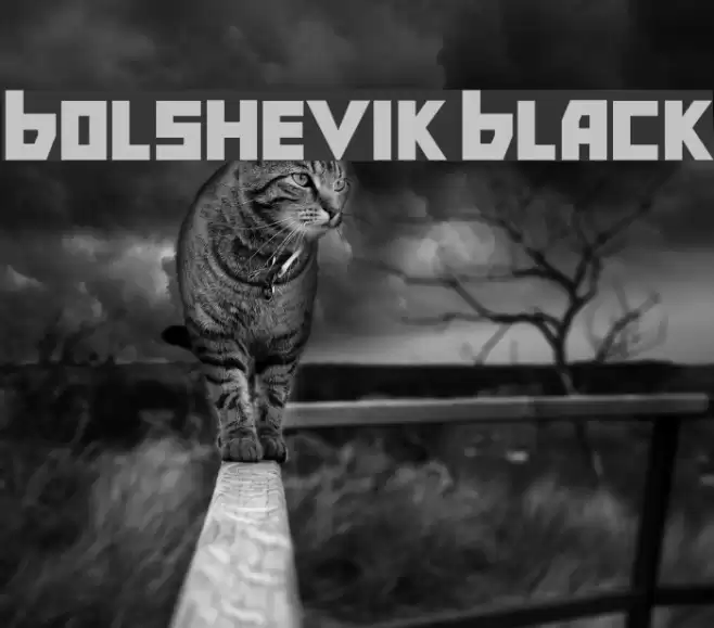 Bolshevik Black Font examples