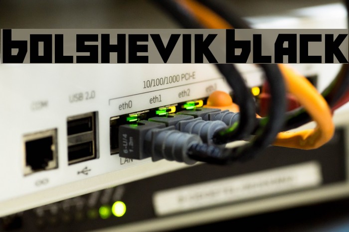 Bolshevik Black Example 2