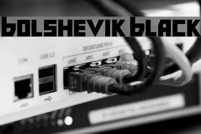 Bolshevik Black Font examples