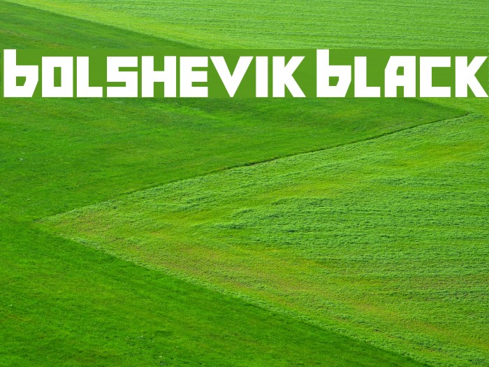 Bolshevik Black Example 3