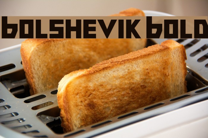 Bolshevik Bold Font examples