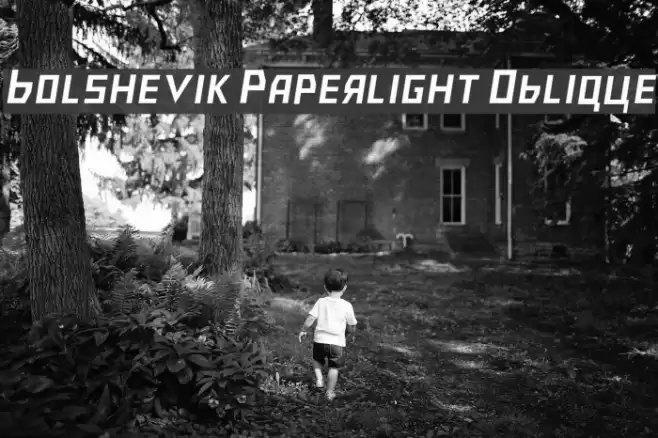 Bolshevik Paperlight Oblique Font examples