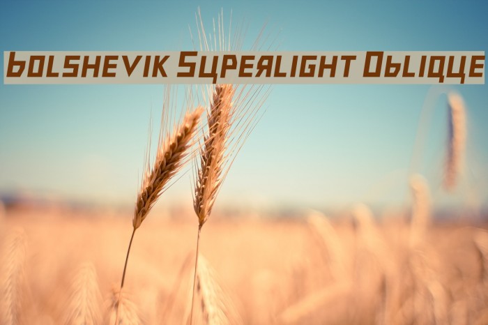 Bolshevik Superlight Oblique Font examples