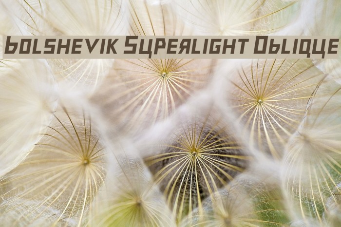 Bolshevik Superlight Oblique Font examples
