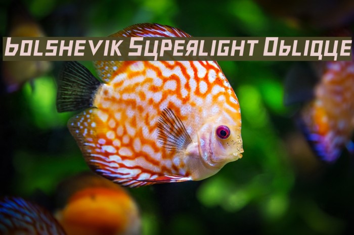 Bolshevik Superlight Oblique Font examples