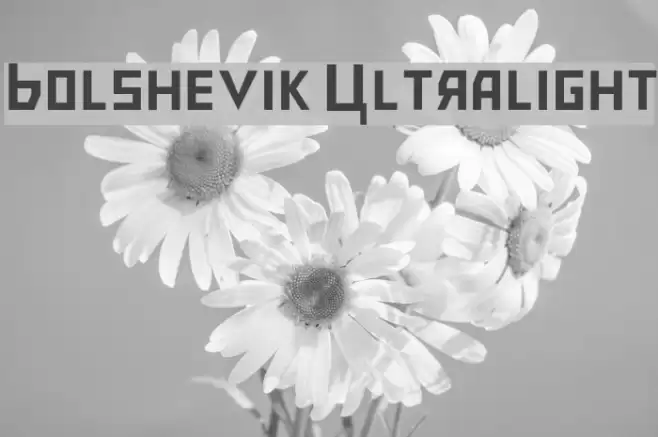 Bolshevik Ultralight Font examples