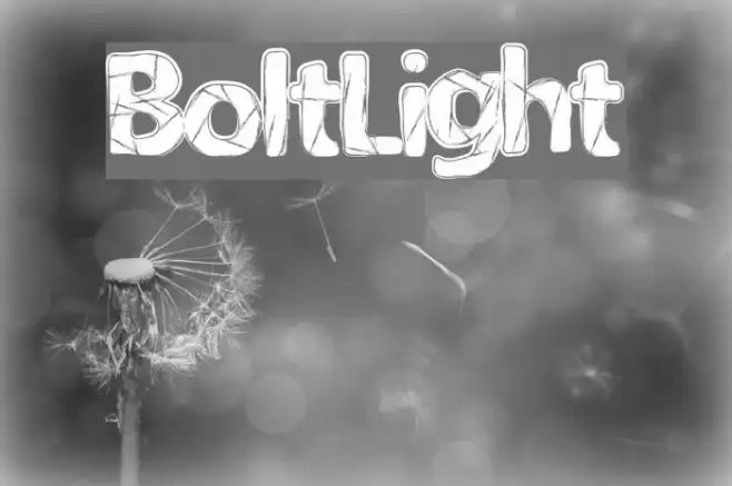 BoltLight Example 3