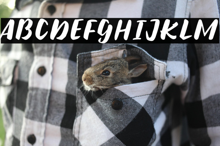 BoltenRegular Example 1