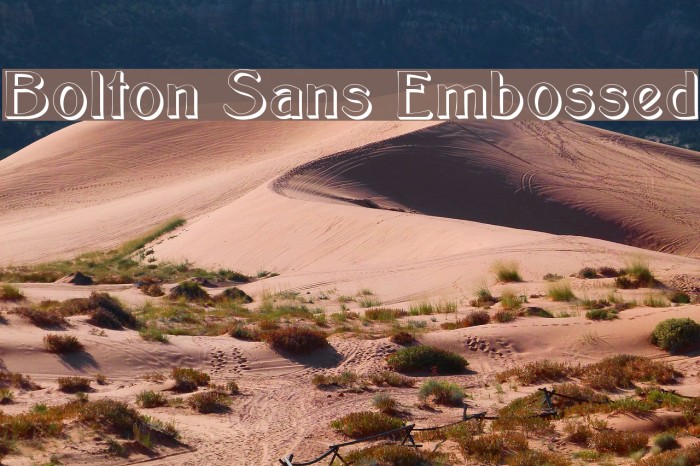 Bolton Sans Embossed Polices examples