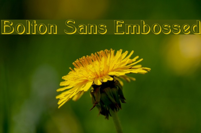 Bolton Sans Embossed Polices examples