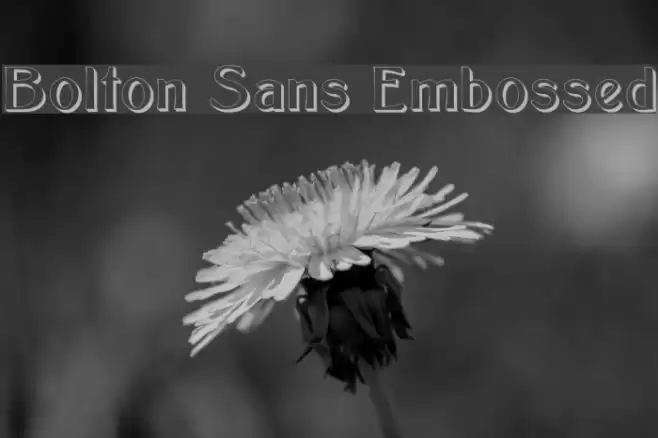 Bolton Sans Embossed Polices examples