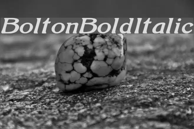 BoltonBoldItalic Font examples