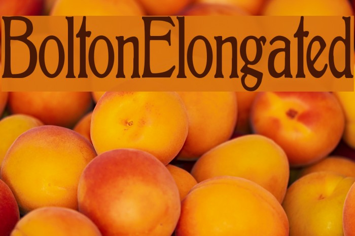 BoltonElongated Font examples