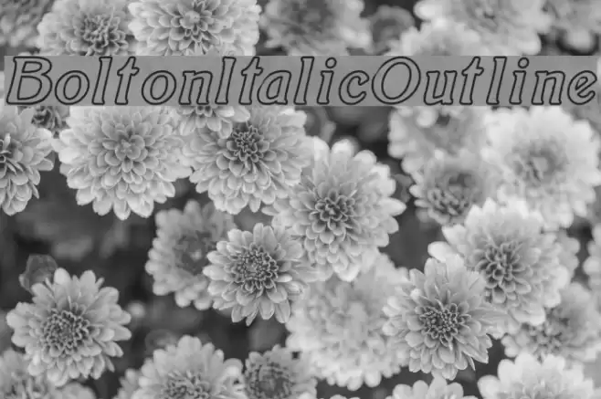 BoltonItalicOutline Font examples