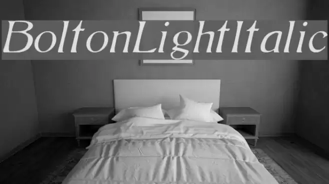 BoltonLightItalic フォント examples