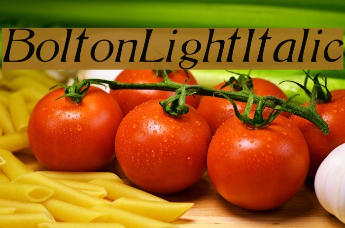 BoltonLightItalic Fuentes examples