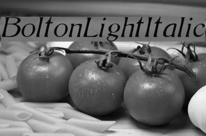 BoltonLightItalic フォント examples