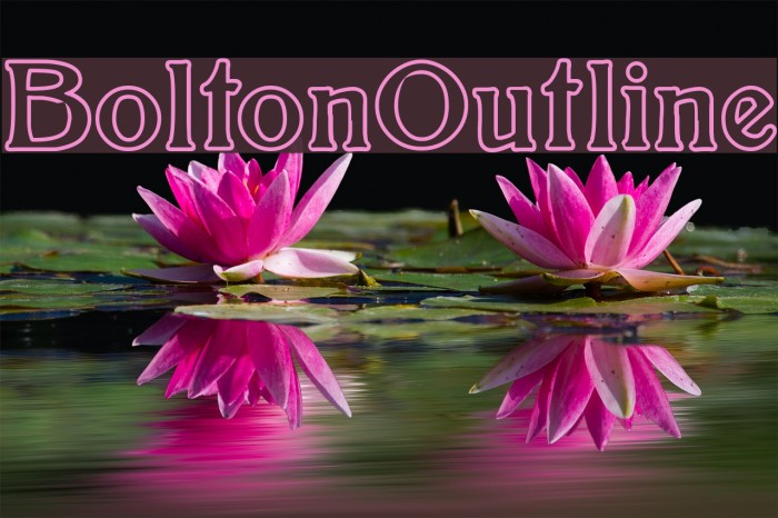BoltonOutline Font examples