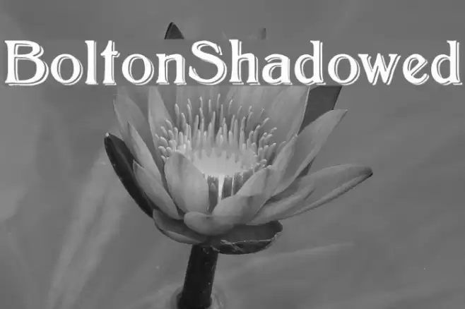 BoltonShadowed Font examples