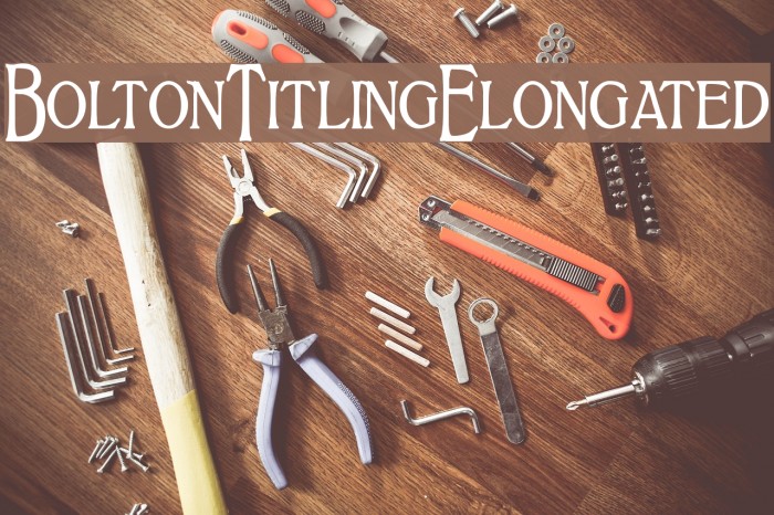 BoltonTitlingElongated Schriftart examples
