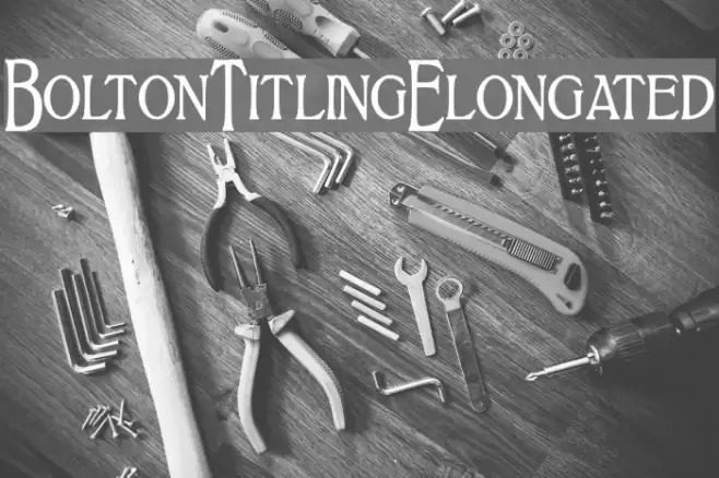 BoltonTitlingElongated Font examples