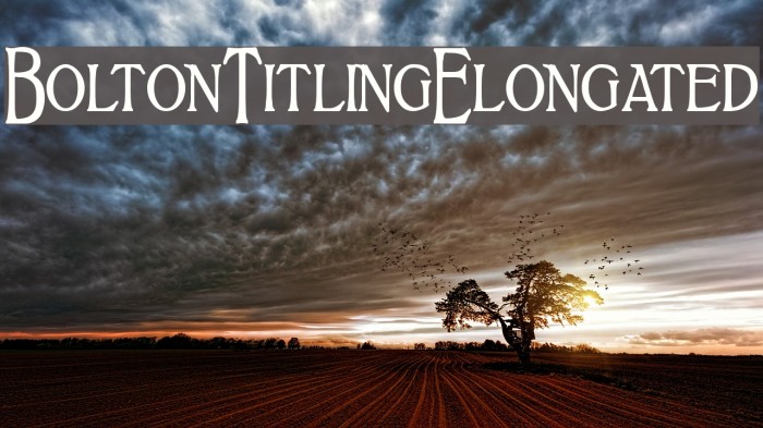 BoltonTitlingElongated Schriftart examples