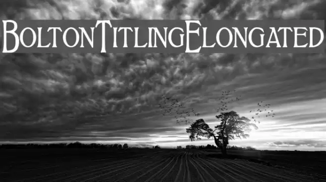 BoltonTitlingElongated Font examples