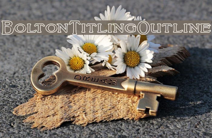 BoltonTitlingOutline Font examples
