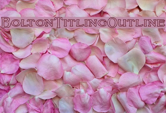 BoltonTitlingOutline Font examples