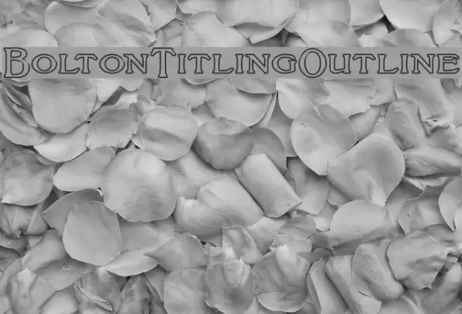 BoltonTitlingOutline Font examples