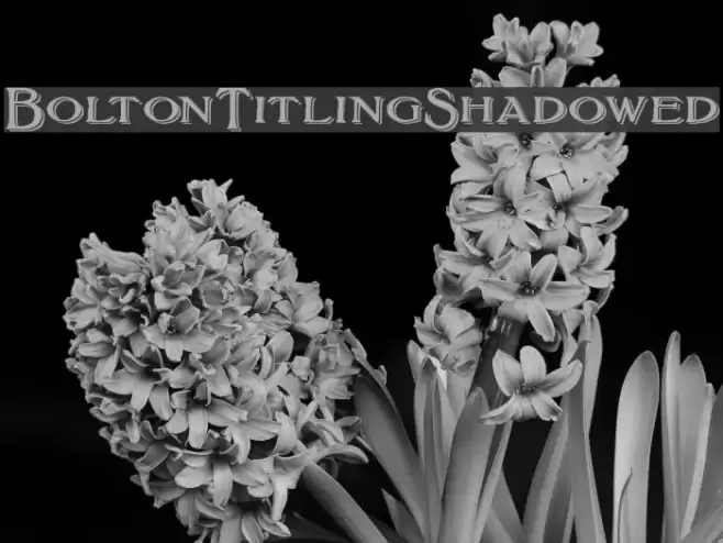 BoltonTitlingShadowed Шрифта examples