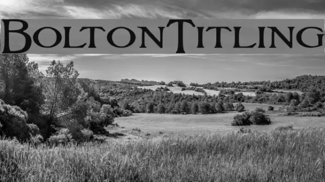 BoltonTitling フォント examples