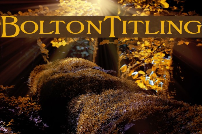 BoltonTitling Font examples