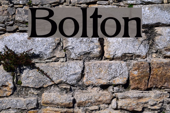 Bolton Font examples