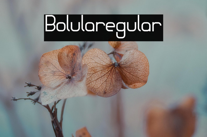 Bolularegular Example 2