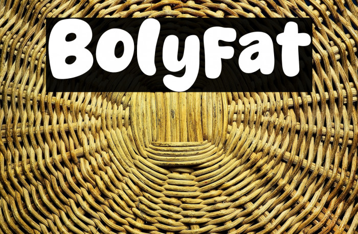 Bolyfat Example 1