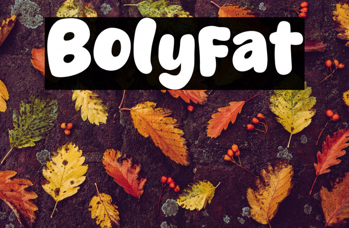 Bolyfat Example 3