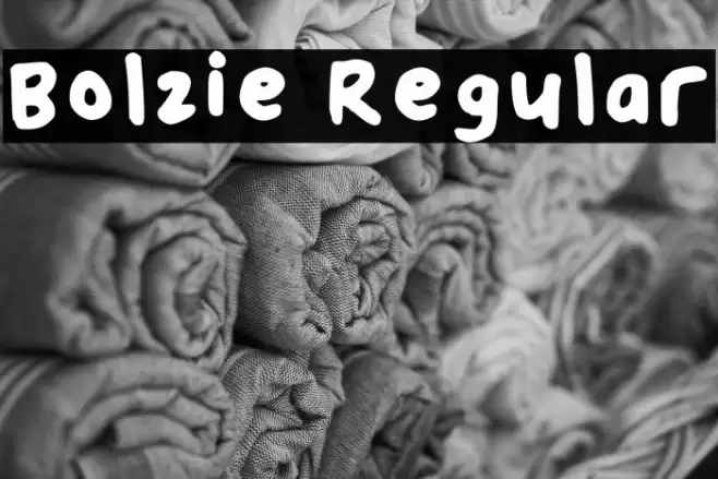 Bolzie Regular フォント examples