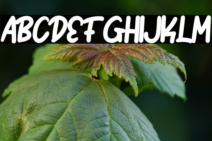 Bomb Da Gone Example 3